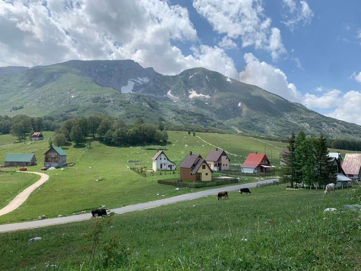 Blackberry House Zabljak Kültér fotó