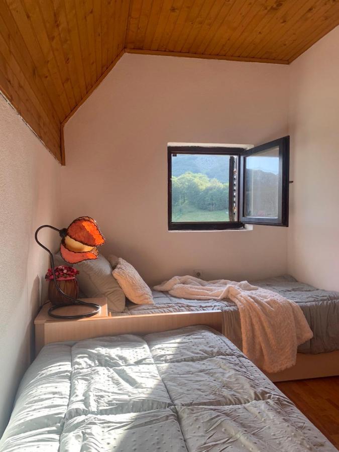 Blackberry House Zabljak Kültér fotó