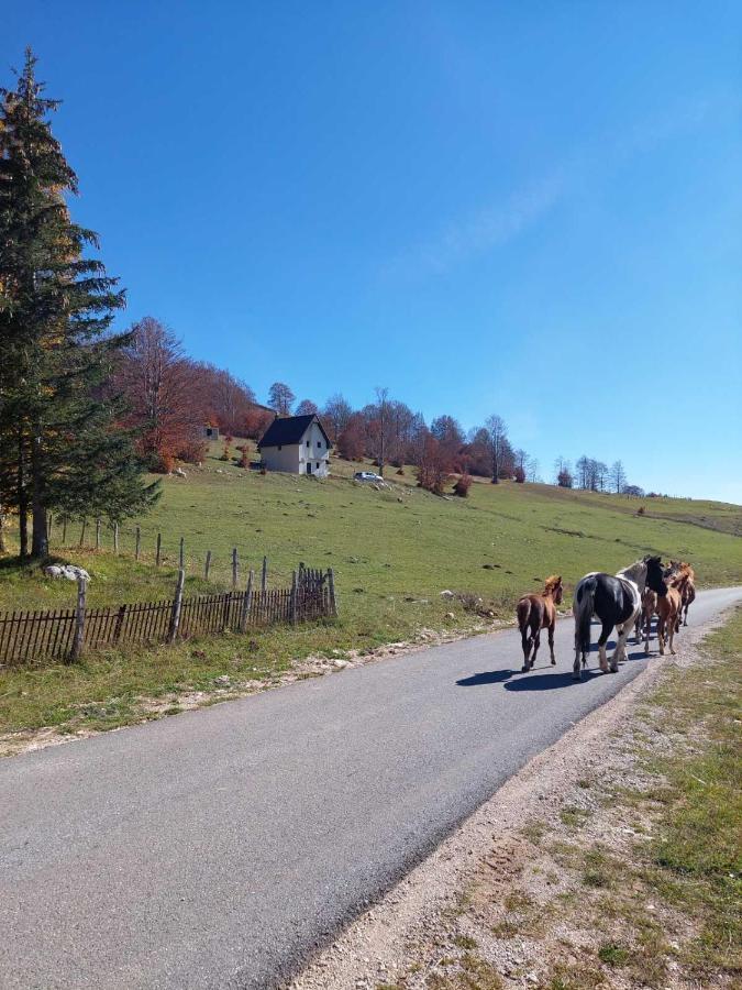 Blackberry House Zabljak Kültér fotó