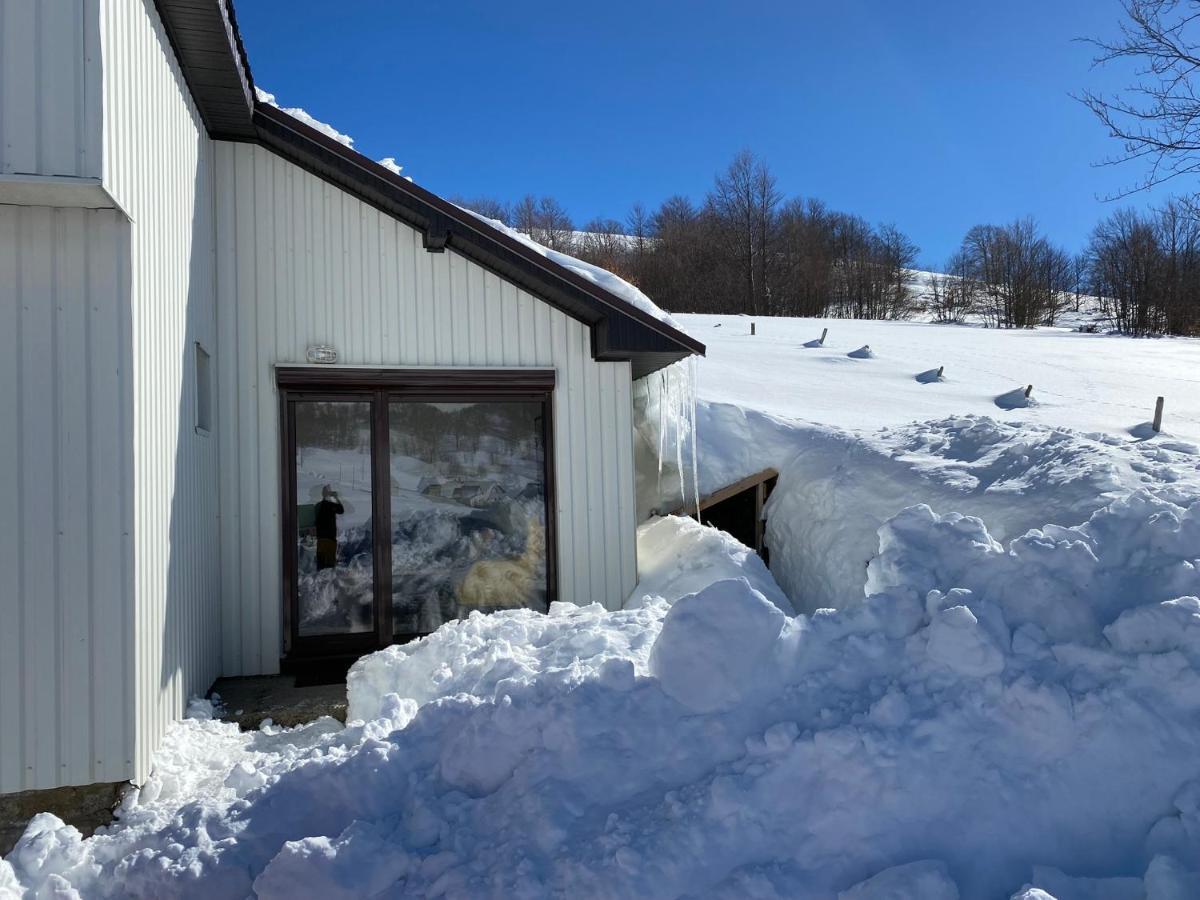 Blackberry House Zabljak Kültér fotó